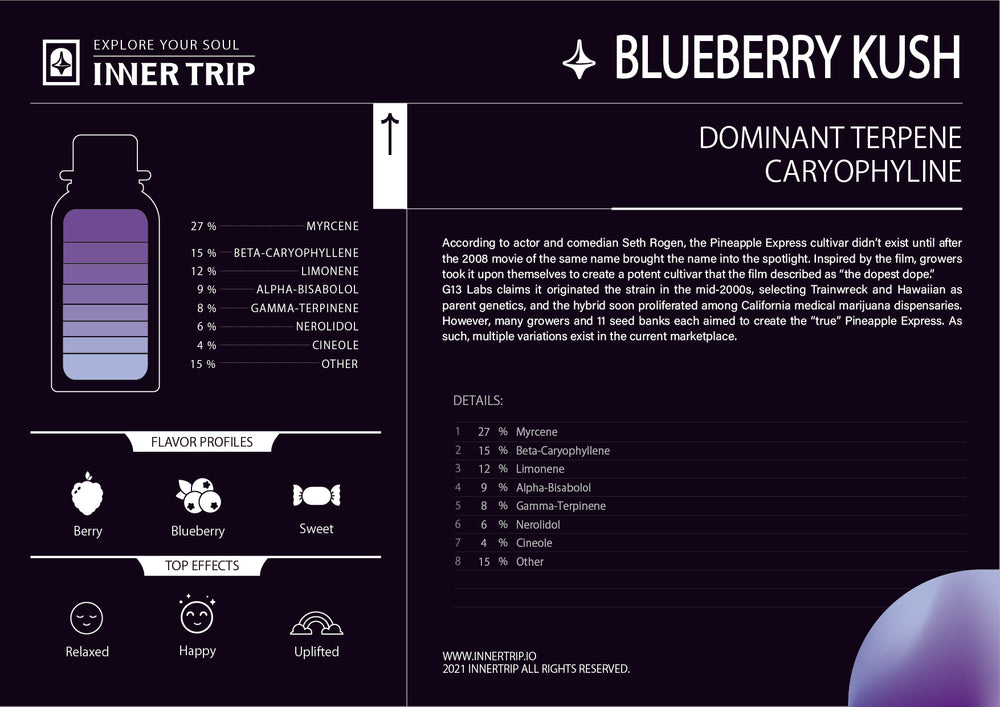 
                  
                    Load image into Gallery viewer, InnerTrip 萜烯精油 (藍莓庫什) Indica Terpenes Readymix - Blueberry Kush
                  
                