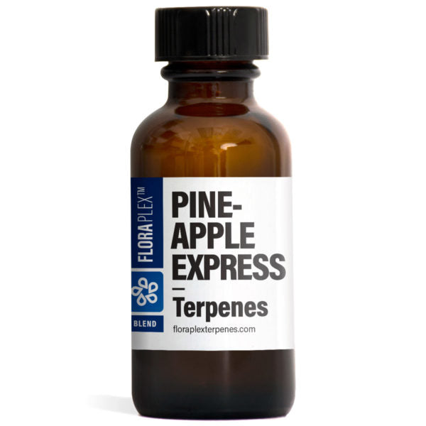 Pineapple Express 萜烯精油 Floraplex Terpenes